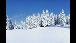 Bollettino della neve  Lombardia del 12 gennaio 2025