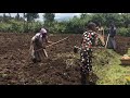 Women working in the potato fields - Volcanoes National Park - Musanze, Rwanda.