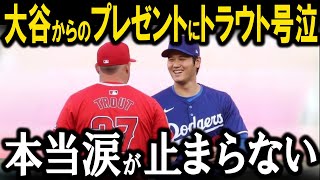 メディアからバッシングされたトラウトに大谷からのサプライズプレゼント「ショウヘイが俺に言ってくれたんだ」大谷の神対応がヤバすぎる【MLBメジャー 野球】