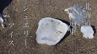 【北海道北見市】流氷の時期に現れる海の宝石を見に行く