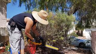 DIY yard work with the Dewalt DCHT820B 20V CORDLESS HEDGE TRIMMER