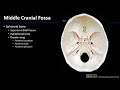 Cranial Cavity and Brain - Cranial Fossae