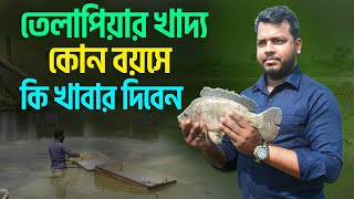 তেলাপিয়ার খাদ্য || কোন বয়সে কি খাবার দিবেন || #shakibagro