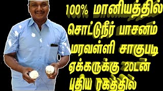 அறுவடைக்கு ஆட்கள் தேவையில்லை விற்பனை பிரச்சனை இல்லை புதிய ரக  மரவள்ளி சாகுபடியில்