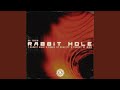 Rabbit Hole (Extended Mix)