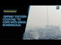 Sipping 'oxygen cocktail' to cope with smog in Mongolia