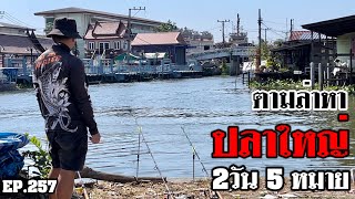 🎣🐠We are Angler EP:257“ตกปลา 2 วัน 5 หมาย ตามล่าหาปลาใหญ่..อะไรก็เกิดขึ้นได้!!”|ตกปลาหน้าดิน