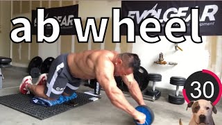 5 minutes day ab roller abdominal workout 【English subtitles】