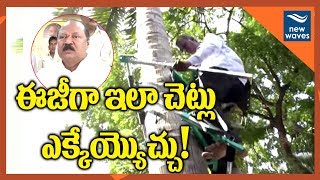 చెట్లెక్కడం ఇక ఎంతో ఈజీ  | Now climbing a tree is very easy | New Waves