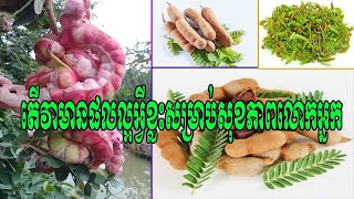 អត្ថប្រយោជន៍នៃ ផ្លែអំពិល