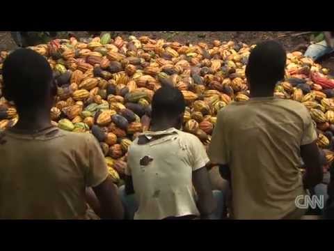 Does Dairy Milk use slaves?