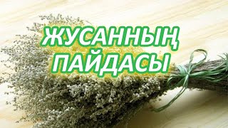 ЖУСАН ӨКПЕҢІЗДІ ТАЗАРТАДЫ, Деніңіз Сау болсын Десеңіз Жусан қайнатып ішіңіз, Керек арнасы