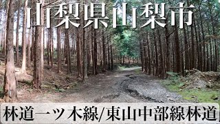 Driving on Hitotsugi Forest Road / Higashiyama-Chubu Forest Road in Yamanashi City, Yamanashi Pref.