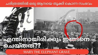 എന്തിനായിരുന്നു ആനയെ തൂക്കി കൊന്നത് | mary the elephant grave / its me sarika