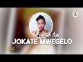 Historia fupi ya Jokate Mwegelo