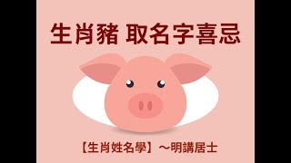 「短視頻115」～生肖豬 取名字喜忌【生肖姓名學】第115集 (音頻/視頻有字幕)