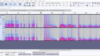 spectrogramme audio du Fast Radio Burst FRB 121102