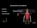 what is synesthesia animation