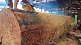 Senilai puluhan juta!! kayu raksasa dari hutan pedalaman Kalimantan