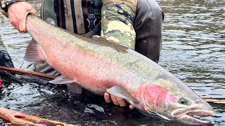 Steelhead Fishing Etiquette Boat \u0026 Bank edition.