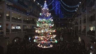 Ｘｍａｓツリー点灯 札幌に７色の明かり