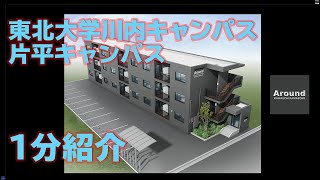 東北大学学生向け新築賃貸マンション【Around川内川前丁】川内キャンパス＆片平キャンパス紹介