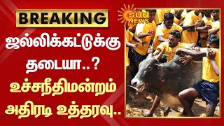 BREAKING | Jallikattu போட்டிக்கு தடை விதிக்க மறுப்பு.. உச்சநீதிமன்றம் அதிரடி உத்தரவு.. | Sun News