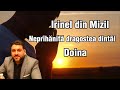 Irinel din Mizil - Neprihănită dragostea dintâi - Doina 2023