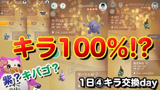 1日4キラ交換！個体値100％が!?キバゴ、色違いカイロス、モグリュー、ドッコラー