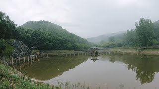 비내리는 목요일 대구 칠곡 운암지. (4k)