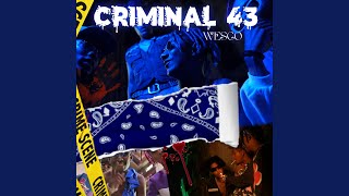 Criminal 43