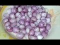 easy way to peel shallots in 1 minute small onion pearl onion malayalam ഉള്ളി തൊലി കളയാൻ 1 മിനുട്ട്