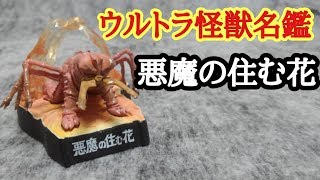 綺麗な花弁に御用心【ウルトラ怪獣名鑑～悪魔の住む花～】宇宙細菌ダリー 奥特曼 Ultraman 울트라맨