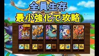 【ドラクエタクト】ベビーパンサーロード8 全員生存 4凸で可能【DQT】