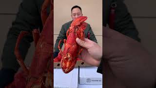 Mukbang Rich Seafood - King Crab Seafoods Eating on the Sea - Part 378 #Shorts #Seafood #Eating