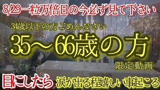 【永久保存版】8/29※超開運日の今　ガチでヤバい　頭がおかしくなるほど嬉しいことが今起きます　今日は現実が好転しまう特別な記念日　ゆったり構えていれば大丈夫　幸運体質に変える設定で開運波動です!!