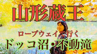 4K 【山形蔵王】ロープウェイで行く秋の蔵王〜お手軽だけどドッコ沼、不動滝など見どころ満載！〜