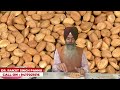 dried apricot खुबानी health benefits सेहत की खूबियों से भरपूर है खुबानी by dr. ranjit singh