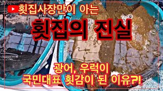 *횟집의 진실 공개 시리즈(광어 우럭의 진실)* 전국횟집에 광어, 우럭이 대표적 횟감이 된 이유!? 제가 관광객에게 광어,우럭을 권하지 않는이유? [수아아빠TV]