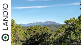 SOLD by LANDiO • Land in Colorado • 40 Wooded Mountain Acres