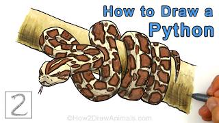 How to Draw a Python Snake coiled around a tree branch