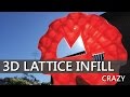 Giant Maker Coin using 3D Lattice Infill - What!?