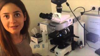 Upright Zeiss fluorescent microscope tutorial with English subtitles.