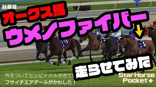 【実名馬クエ】テイエムオペラオー世代実名馬ウメノファイバー！アプデ後初の虹！　スターホースポケット (star horse pocket)