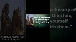 Marcus Aurelius Quotes 7 #quotes #motivation #motivationalquotes #inspirationalquotes  #inspiration