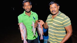 गरीने मासे पकडण्याचा रात्रीचा थरार | traditional fish catching at night in konkan