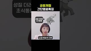 금음체질 간단명료 특징