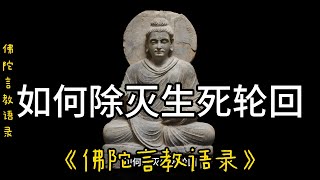 69.如何除灭生死轮回《佛陀言教语录》