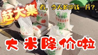 天津的大米跌价太吓人，看3月23日集市上卖多少钱一斤？大吃一惊~带你们看每天中国菜市场物价【茉茉妈vlog】