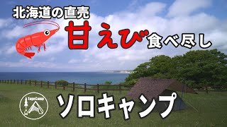 【ソロキャンプ】絶景の無料キャンプ場で甘エビ食い尽くしソロキャンプ！【北海道キャンプ】